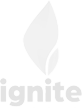Ignite Representation logo for corporate pro services